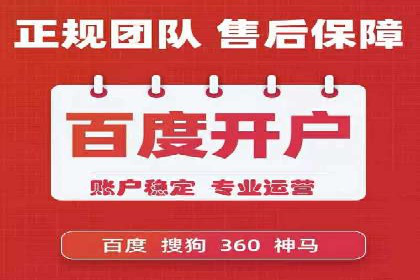 成功案例分享：SEM推广策略的制定与执行